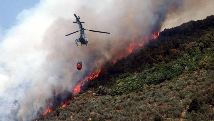 Incendio di Massarosa, le testimonianze: “Il fuoco di notte sopra la mia casa mi ha svegliato una vicina”