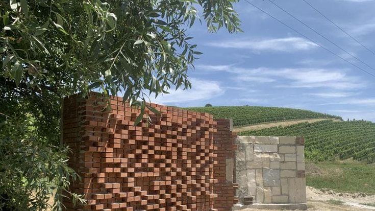 Un muro di mattoni vivo tra i filari delle vigne Unesco e il futuro della biodiversità
