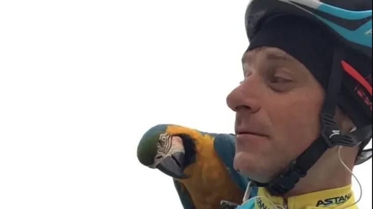 Addio a Franky, il pappagallo amico di Michele Scarponi è morto in un incendio