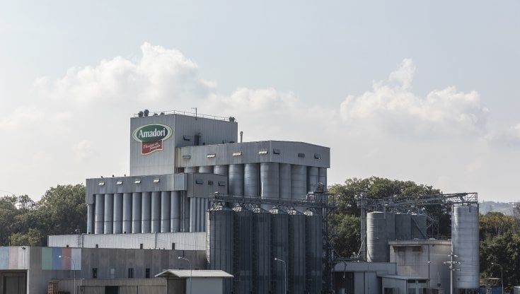 Cresce la tensione nella filiera avicola: prezzi materie prime agricole su del 39%