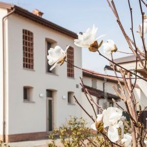 La corsa di Ecogest: ricavi +13%, utile netto +37%, ebtda +28%. 