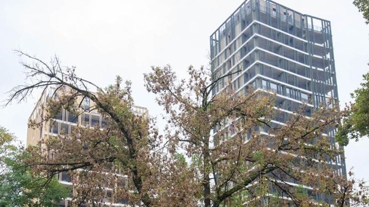 Salva-Milano, l’allarme dell’urbanista Roccella: “Se rimane così rischio censura della Consulta”