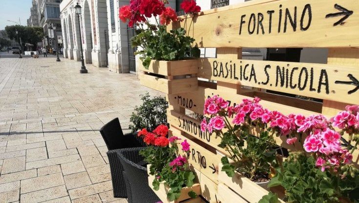 Bari vecchia, sulle fioriere le indicazioni per raggiungere i monumenti: l'idea di un bar. "Così aiutiamo i turisti e abbelliamo la piazza"