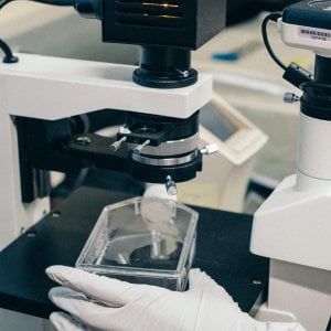 Cancro del colon: speranze dall’immunoterapia "breve" prima dell’intervento