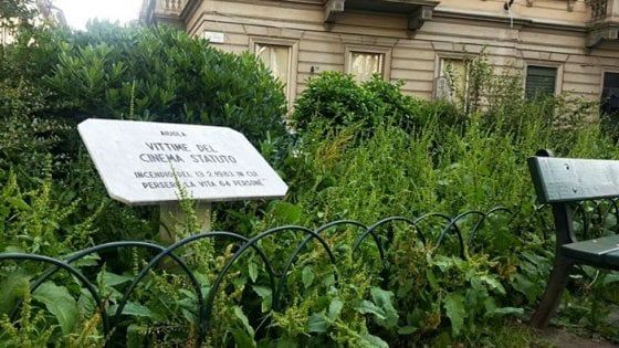 Giungla nei parchi a Torino, l'annuncio della sindaca: "Taglieremo l'erba dalla prossima settimana"