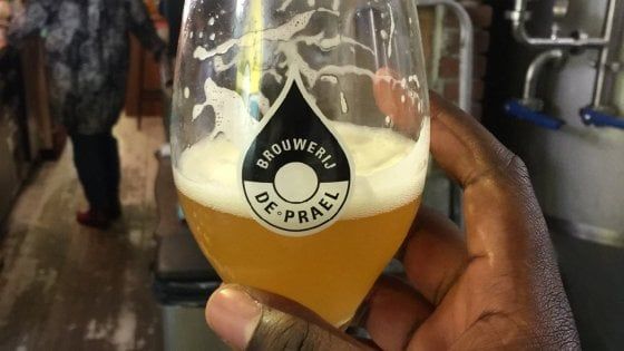 Dall'Olanda la birra fatta con la pioggia per salvare la città dalle inondazioni