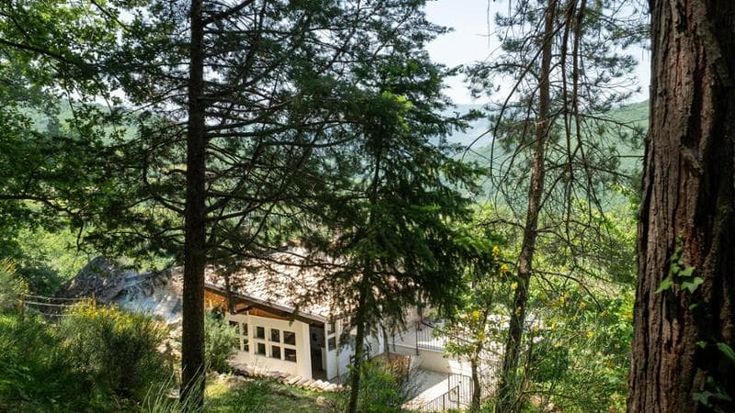 La famiglia nel bosco, la tutrice vuole iscrivere i tre bambini alla scuola pubblica di Palmoli