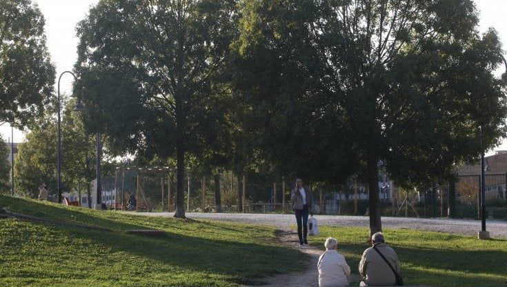 Firenze, il parco San Donato si allarga: in arrivo altri 230 alberi