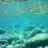 Il mare di Sicilia come l’acqua di una vasca da bagno. È troppo caldo. Ma chi si allarma davvero?
