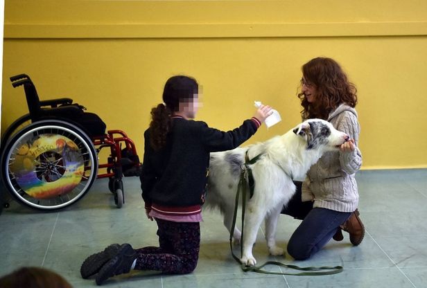 Milano, Zirca protagonista della pet therapy a scuola per aiutare i bambini in difficoltà