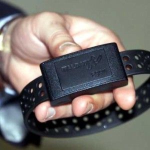 Primo braccialetto elettronico per un detenuto ai domiciliari per mafia