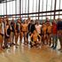 Waterpolo Ability, eccellenza italiana: 