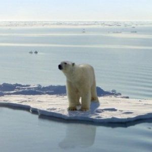 Allarme clima, temperature mondiali +1,5 gradi nel 2040
