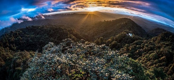 Il richiamo delle foreste: non siamo tutte uguali