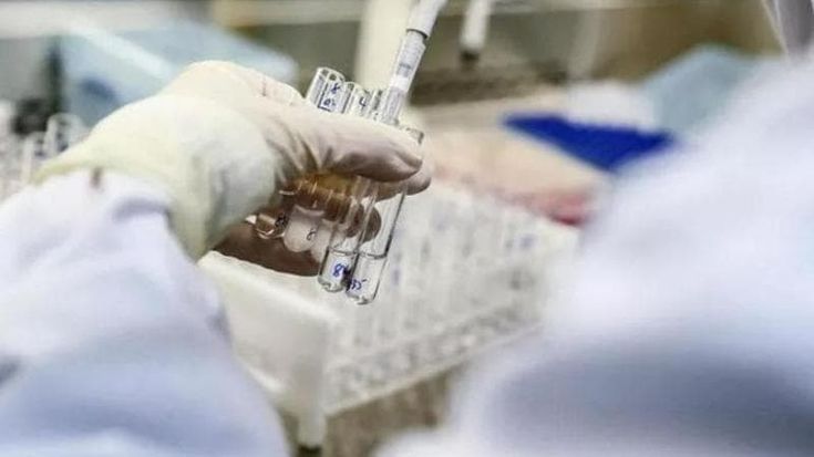 Papa operato. “Massima riservatezza sui referti, consegnati a mano al suo team”