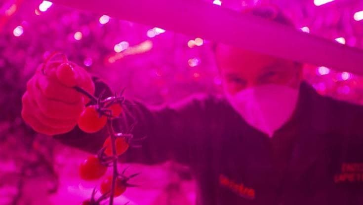 Agricoltura, la voglia di digitale c’è: mancano i campi connessi