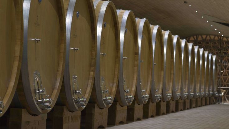 I signori della vigna: buona annata per i ricavi, Cantine Riunite guida la Top Ten