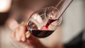 Viaggio nelle 10 cantine che hanno fatto la storia del vino italiano (e non solo)