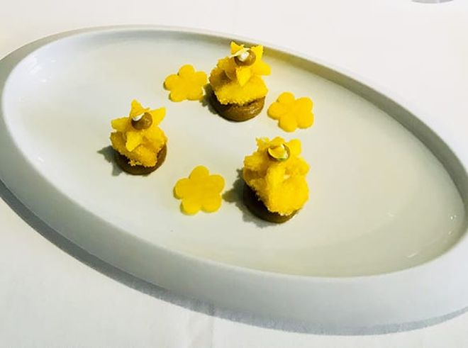 Alga Azzurra D Acqua Dolce Detta Spuma Di Primavera