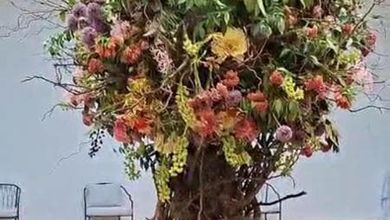 Albero e maschere: viaggio nel padiglione russo della Biennale