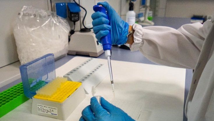 Recovery Plan, dal taglio dell'Irpef alla telemedicina: ecco come l'Italia spenderà i soldi dell'Europa