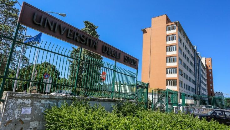 "No al Green Pass all'Università", movimento anonimo degli studenti sfida l'Ateneo