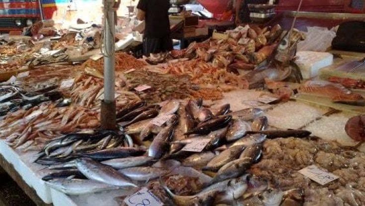 In Puglia un Natale con meno frutti di mare in tavola: i rincari record per pesce e cozze cambiano il menù delle feste