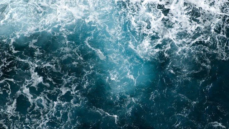 Grimaldi: "Pronte a salpare le navi aspirapolvere per ripulire gli oceani dalle plastiche"