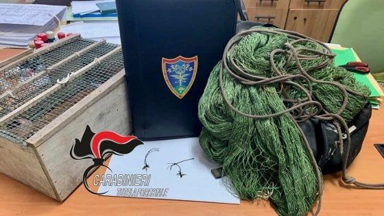 Marigliano, maltrattamento e cattura di specie protette: denunciato 46enne