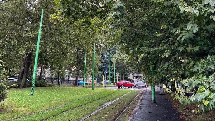 Il sindaco Sala difende il taglio ridotto di prati e aiuole: “A fine stagione tireremo le somme e decideremo per l’anno prossimo, ma non in base alle lamentele”