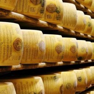 Parmigiano reggiano, un 2017 difficile negli Stati Uniti