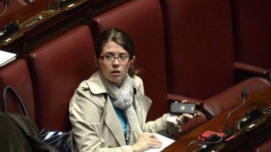 Concerto nazi-rock a Cerea, Businarolo (M5s): "Fatto grave". Rotta (Pd): "Presenterò interrogazione parlamentare"