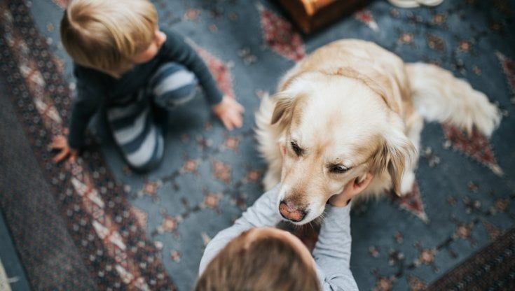 Osservatorio nazionale sull’impatto educativo: animali fondamentali per la crescita dei bambini