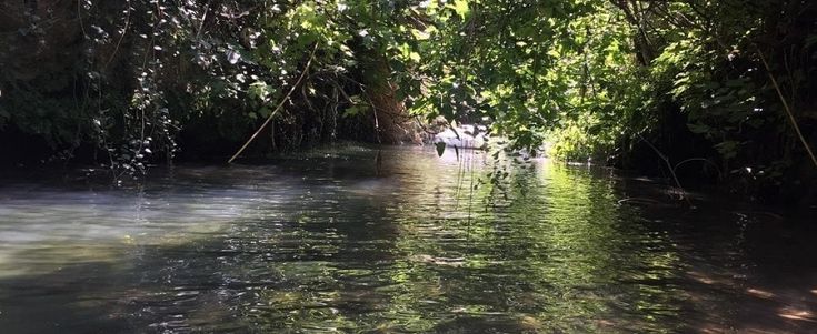Palermo, il fiume Oreto primo nella classifica dei Luoghi del cuore
