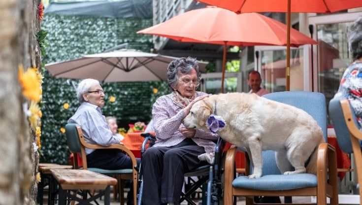 Muore la labrador Camilla, dopo diciassette anni di amore verso gli ospiti della Rsa