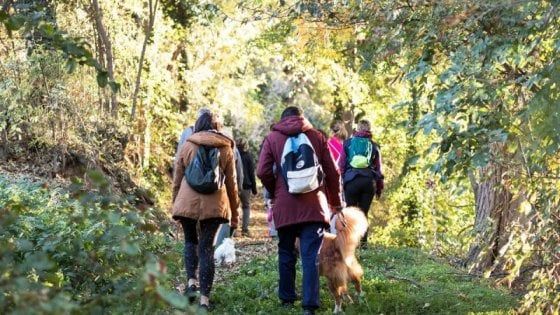 A passi lenti: torna il trekking urbano a Bologna