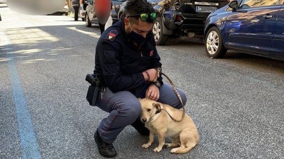 Cucciola legata a un palo sotto il sole: salvata e adottata da un poliziotto a Roma