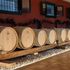 La giovane cantina veneta che spazia dallo spumante zero alcol alla Ribolla gialla