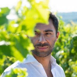 Frisino: olio, vino, design ed enoturismo per portare la Puglia nel mondo