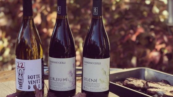 Vigne vecchie e ritmi artigiani: a Olevano le scommesse di Damiano Ciolli