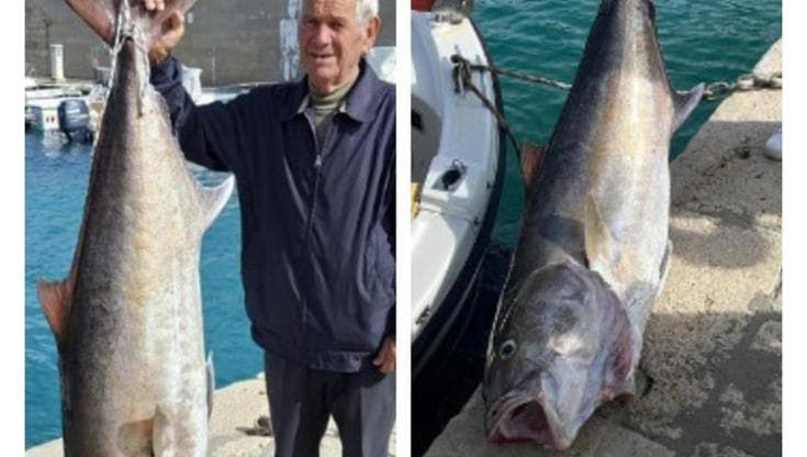 Una ricciola da record abbocca in Salento: pesa 50 chili e per tirarla ci sono voluti 3 pescatori