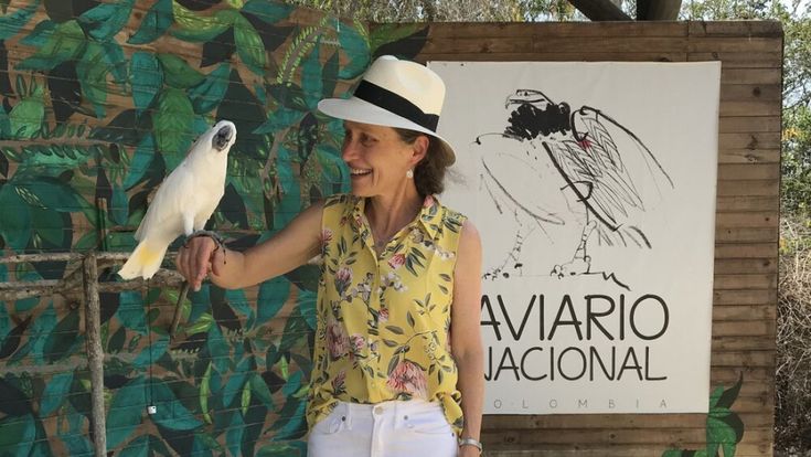 Jennifer Ackerman: "Salviamo gli uccelli, sono l'anima saggia del mondo"