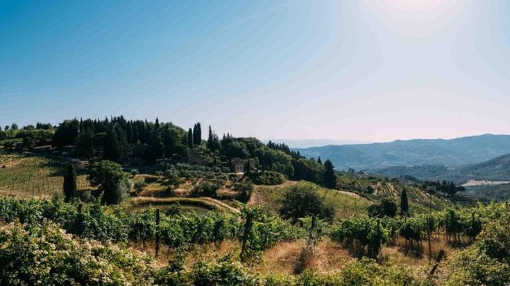 Tre businessmen americani e un’enologa bianchista ringiovaniscono il Chianti Classico delle Vecchie Terre di Montefili