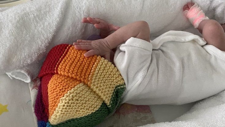 Giornata contro l'omobilesbotransfobia, la Lega attacca i berretti arcobaleno dei prematuri di Niguarda e la bandiera esposta nell'ateneo di Varese