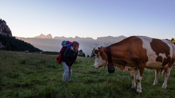 Svegliarsi tra la natura incontaminata della Val di Fassa