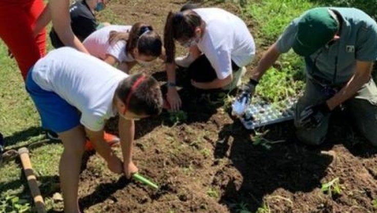 Caccia al tesoro verde, la sfida corre sul digitale tra Camogli e Milano 