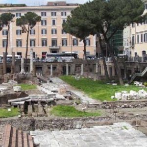 Una giungla tra i templi di largo Argentina. "Lavori fermi da mesi"