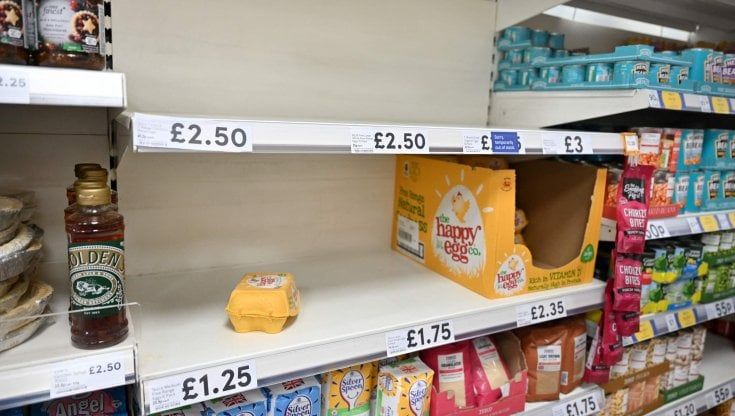 Allarme uova in Gran Bretagna: razionamento nei supermercati fino al 2023