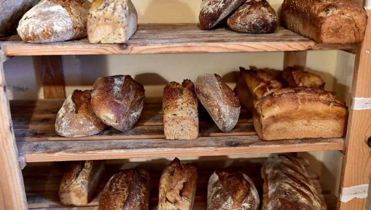 La poesia del pane ritrovato