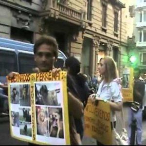 "Stop alle perreras", manifestazione davanti al consolato di Spagna a Napoli